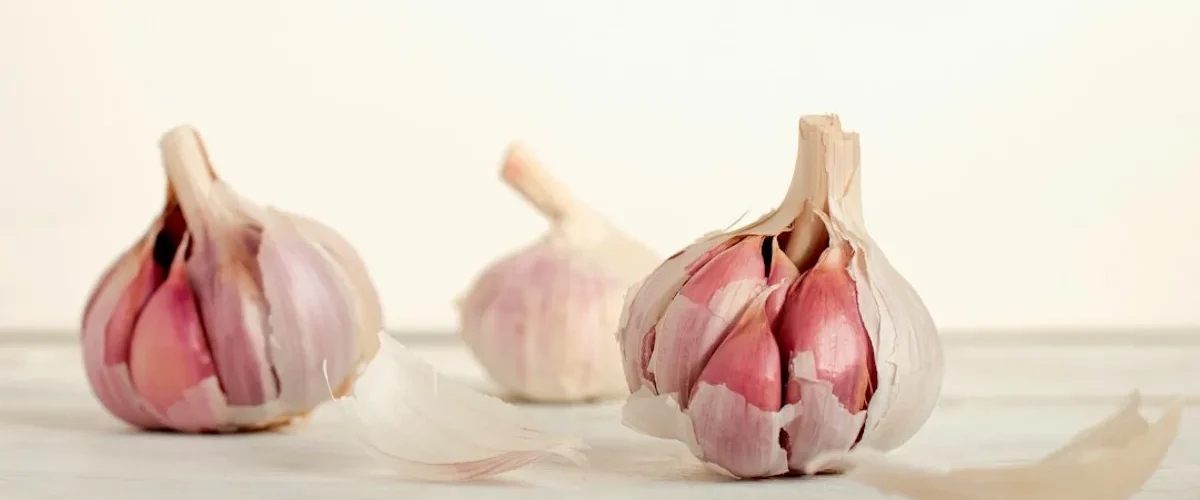 faut il retirer germe ail avant cuisiner