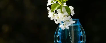 faut il vider eau vase tous jours